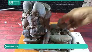 ساخت آبنمای سنگی خانگی