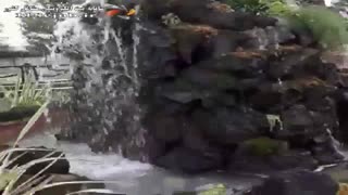 آبشار و آبنمای برکه در نوشهر