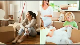 شرکت کارتن بار- فروش کارتن در تهران