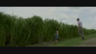 تماشای آنلاین فیلم ترسناک در علفزار بلند In The Tall Grass 2019 با زیرنویس چسبیده فارسی