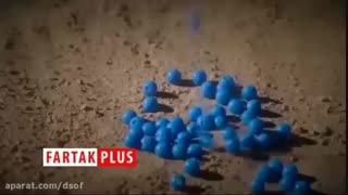 دارن میان دونه دونه عاشقا ؛ نماهنگ زیبای "طریق" با صدای سیدمجید بنی‌فاطمه