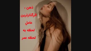 عوامل چهارگانه سلامتی