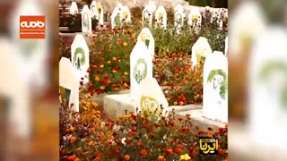 چرا ترکیه به کردهای سوریه حمله کرد؟