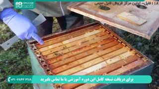 کاملترین آموزش زنبورداری از مبتدی تا حرفه ای