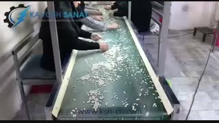 دستگاه نوار نقاله دستچین