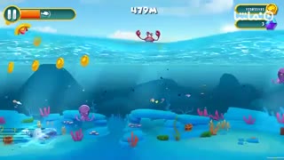 Dolphy Dash: Ocean Adventure