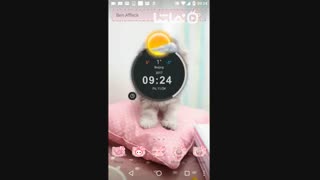 Pink Cute Kitty Cat Theme