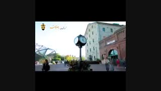 ویزای مولتی کانادا