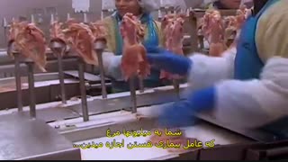 مستند خوردن حیوانات با زیرنویس فارسی