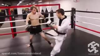 تکواندو VS موی تای