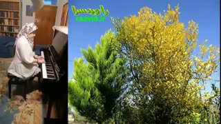 آرینا می نوازد