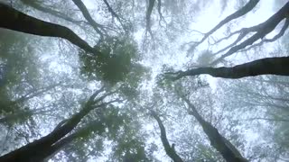 مناظر خارق العاده ایران در سفر