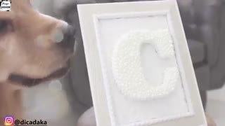 ایده هایی جذاب برای تزیین سرویس خواب نوزاد