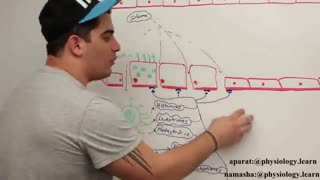 ایمنی شناسی (immunology)