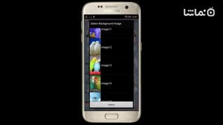 Love Birds Live Wallpaper