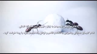 حوزۀ نبرد و آسیب پنهان