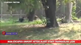 ورود جوان کم توان ذهنی به قفس شیرها