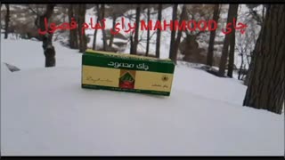 چای محمود برای تموم فصول