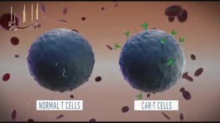 ایمنی درمانی سرطان