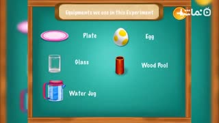 Cool Science Experiments