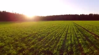 فرکانس خدا برای انسان