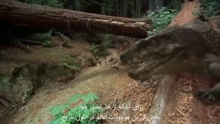 دایناسورها زنده اند