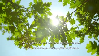آشنایی با مفهوم وضعیت درخت پاک و ناپاک روح