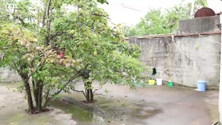 خرید ویلا در بندر انزلی