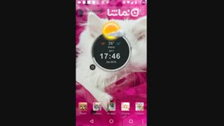 Pink Persian white Cat theme