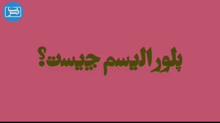 پلورالیسم چیست؟