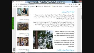 تدریس خصوصی زبان انگلیسی آموزش زبان دایلو