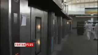 تولید نان دارو برای نخستین بار در ایران