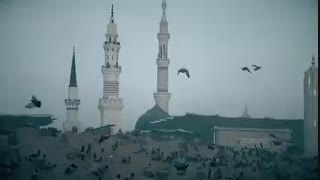 عالم ماتم سرا، زهرا صاحب عزا