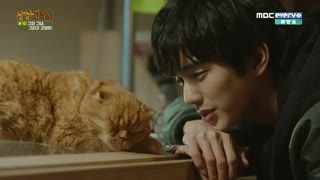 قسمت پنجم سریال کره ای گربه خیالی+زیرنویس آنلاین Imaginary Cat  با بازی یو سئونگ هو