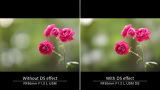 معرفی لنز Canon RF 85mm F1.2 L USM DS
