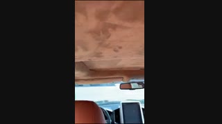 نیوفیس لندکروز