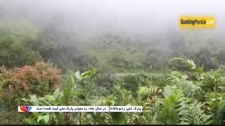 پارک ملی رانومافانا، بهشتی در جزیره زیبای ماداگاسکار - بوکینگ پرشیا