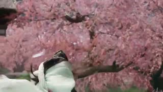 قسمت هشتم  سریال چینی Love and Destiny 2019  عشق و سرنوشت + زیرنویس