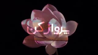 ColdPlay - Fly On