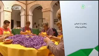 خواص زعفران - زعفرانیک