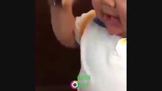 یه جمله از بچه مثل من بخورید گاو بشید صداگذاری طنز یعقوب