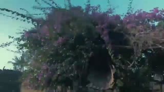 دیدن جاذبه‌های  طبیعت منحصر به فرد کنیا | دکتر داوودیان