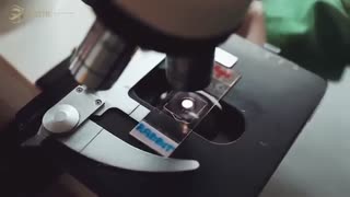 تحصیل پزشکی در مجارستان ، موسسه مهاجرت تحصیلی | go2tr