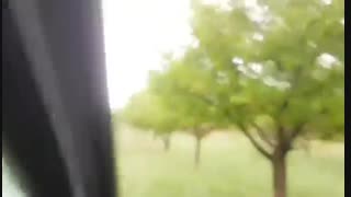 سیرعلیا - 03