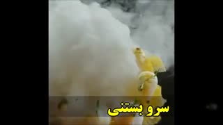 تولید یخ خشک پرگاس