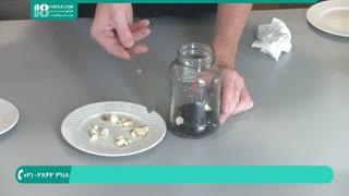 آموزش تولید قارچ