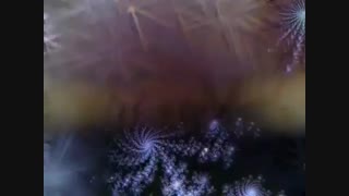 Neil Diamond_Stargazer