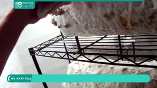 آموزش پرورش قارچ _ 09130919448