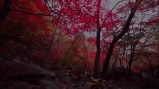 آهنگ 2U از جونگ کوک در مستند کوهستان