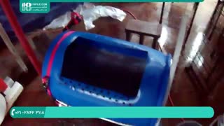 آموزش پرورش قارچ در خانه